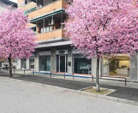 Articoli promozionali a Verona e Trento
